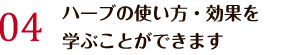 ハーブの使い方・効果を 学ぶことができます